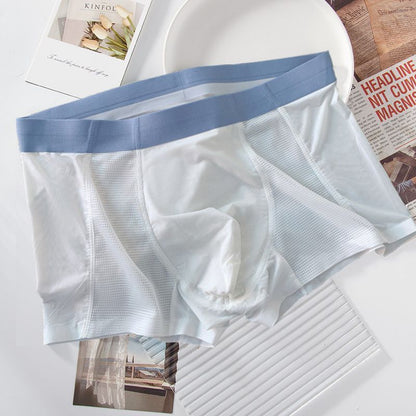 BEST DEAL 50% OFF 💎 Premium Boxer